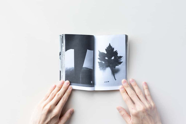 Art Books: 79 + 1